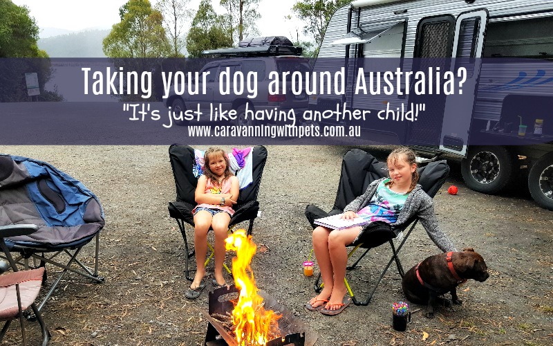 Taking your dog around Australia – it’s just like having an extra child!
