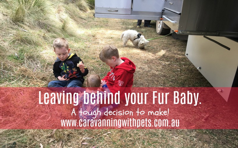A tough decision: Leaving your fur baby behind!