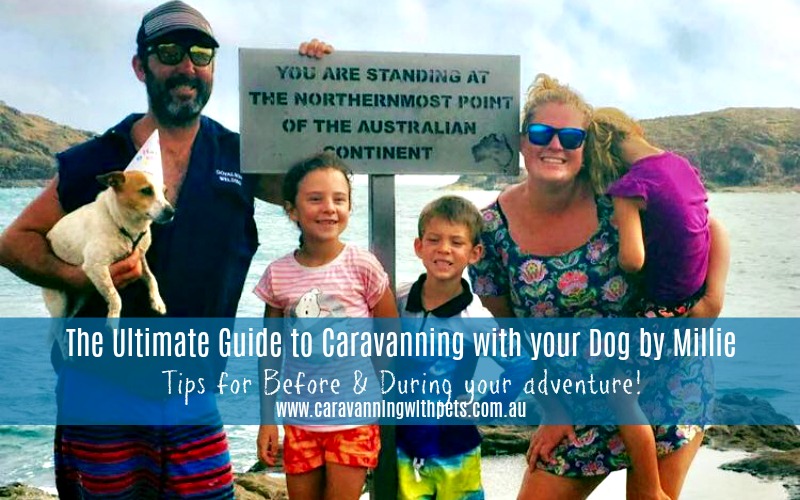 The Ultimate Guide to Caravanning with your dog by Millie