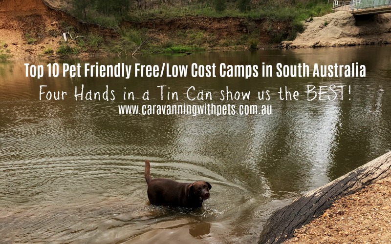 Top 10 Pet Friendly Free/Low Cost Camps in South Australia